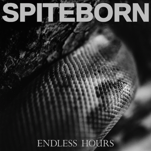 Spiteborn : Endless Hours